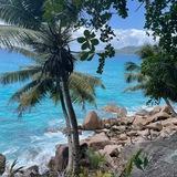 DreamTrip