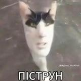 Легенда🧌