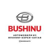 BUSHINUAUTO