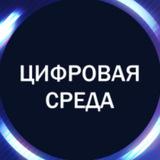 Цифровая среда