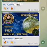 Сетевик - гостевой💸💰💸💰💸🚀🚀🚀