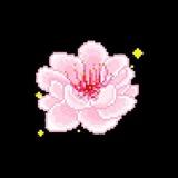 [🚀] DLZ • NEWS