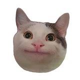 Берлога котанов