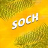 SOCH ОГЭ