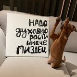 Сам себе кинолог!