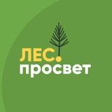 ЛесПросвет | Сибирский кедр