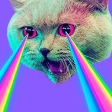 万 乇 ㄈ 口 Ё 万 也