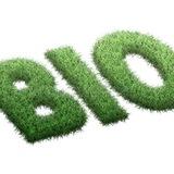 БИОЛОГИЯ ЕГЭ / ОГЭ