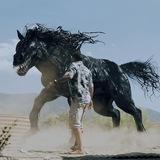 Кино с Конём🐴🖤