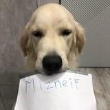(архив) Mizneif|мазелафумер