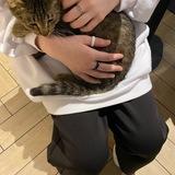 с любовью, айшатик🐈‍⬛