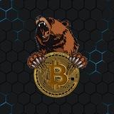 Bear mining
