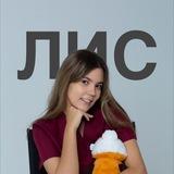 лис🦊