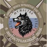БАЛТИЙСКИЕ ВОЛКИ