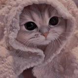 Котья нора💕