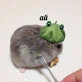 твои странные любови