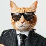 Финансовый диссидент от Котского