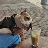 Потом переименую