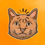 рыжие коты