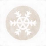 SnowBug