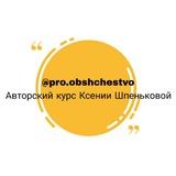 PRO.ОБЩЕСТВО / С ЭКСПЕРТОМ ЕГЭ Ксенией Шпеньковой