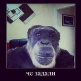 Звоночек для учителя