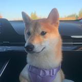 Хануcик🐕