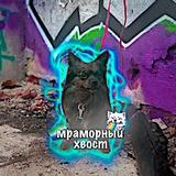 Мᴩᴀʍᴏᴩный хʙᴏᴄᴛ🥷