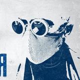 Заявки на вступление в Квест Развития