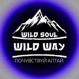 WildWay | почувствуй Алтай