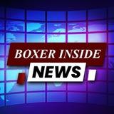 Boxerinside