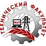 Технический факультет МелГУ