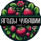 Ягоды Чувашии 🍓
