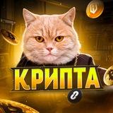 КРИПТА КОТА