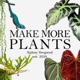 Make More Plants | NN