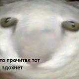 Прорвало кошачью трубу