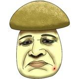 🍄‍🟫Обабковая поляна🍄‍🟫