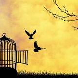 Панические атаки, ОКР и здоровый образ жизни ~~~🧘🏻‍♀️——