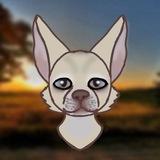 Марик дай лапу !🌻🐾