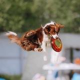 Кира и Сталли