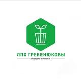 Саженцы ЛПХ Гребенюковы