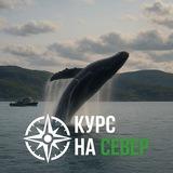 Туры Териберка | Северное сияние | Киты | Гид | Кольский