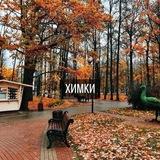 Химки Новости