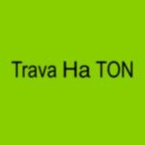 Trava На TON💚