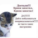 не фолди