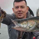 TOPFISHER