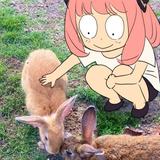 🐌 katsu ^_^ (oduvanchikami)