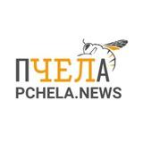 Пчеланьюс