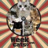 Week With Cats