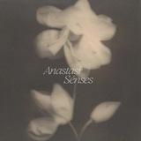 Anastasí Sénses